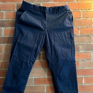 Gap Navy Blue Chino Pants